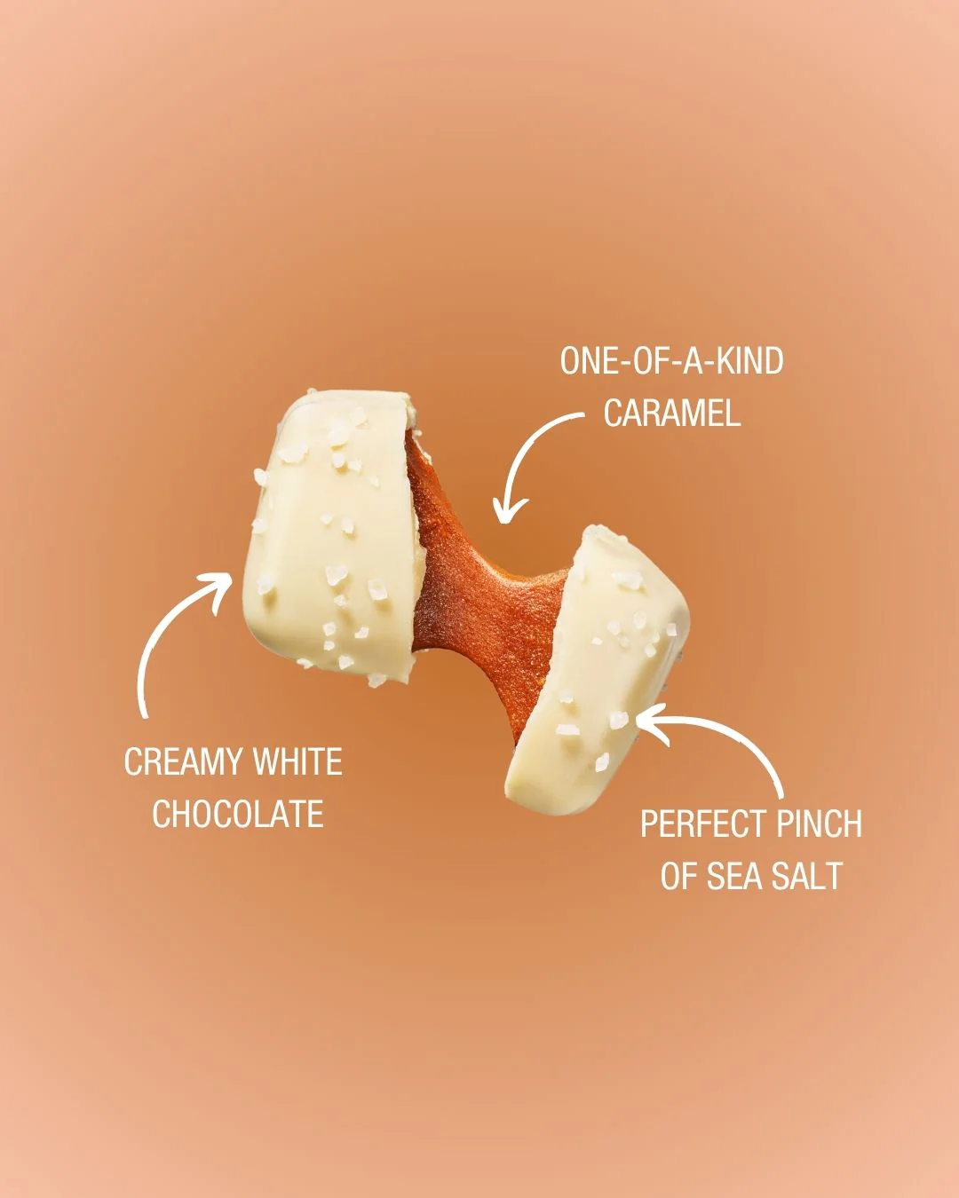 Sanders Candy - White Chocolate Sea Salt Caramels 7oz Pouch - Image 3